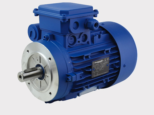 Moteur électrique asynchrone